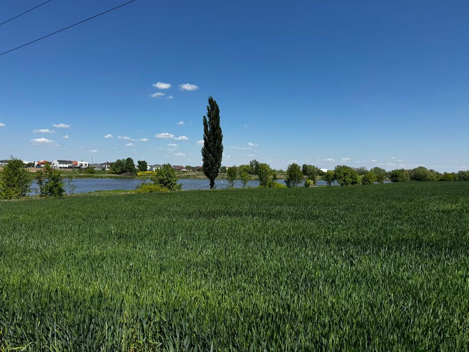 vand parcele teren Lac Dumbravita, Padure Dumbravita, utilitati incluse