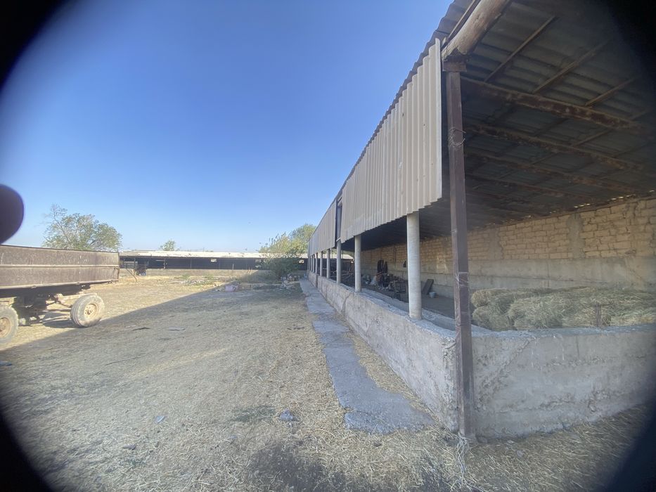 Сдаётся фирма на окраине города