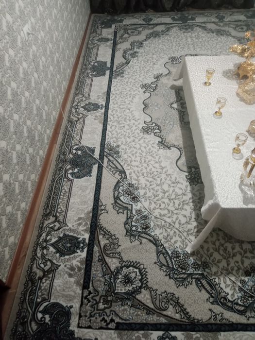 Yangi 1 oy bo'ldi rangi oq