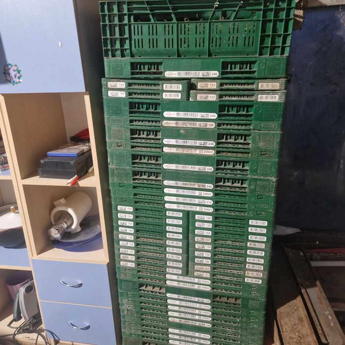 lazi pliabile pentru toate