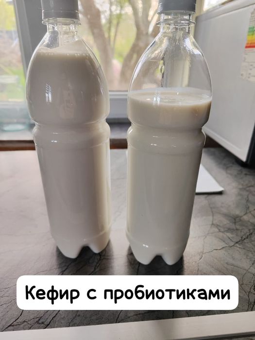 Козий сыр своими руками и молоко