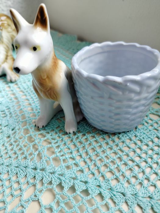 Lot 7 căței 50 lei