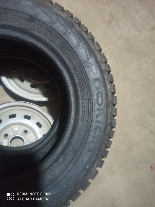 Балон шиповий зимний