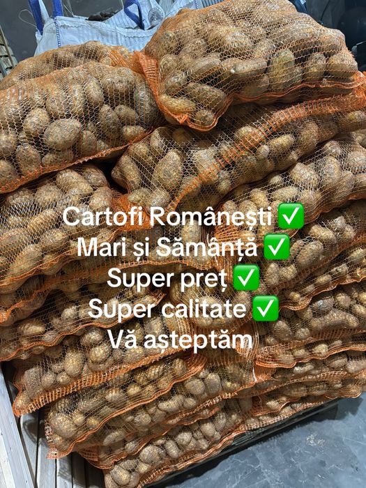 Vând cartofi Mari și samanță
