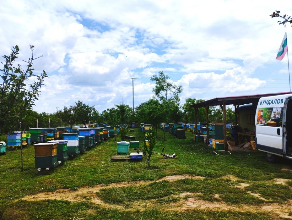 Пчелен Мед Букет на Едро