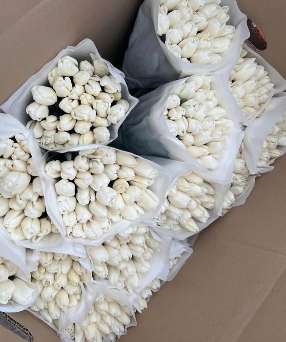 Тюльпан хрустящие по 700 тг