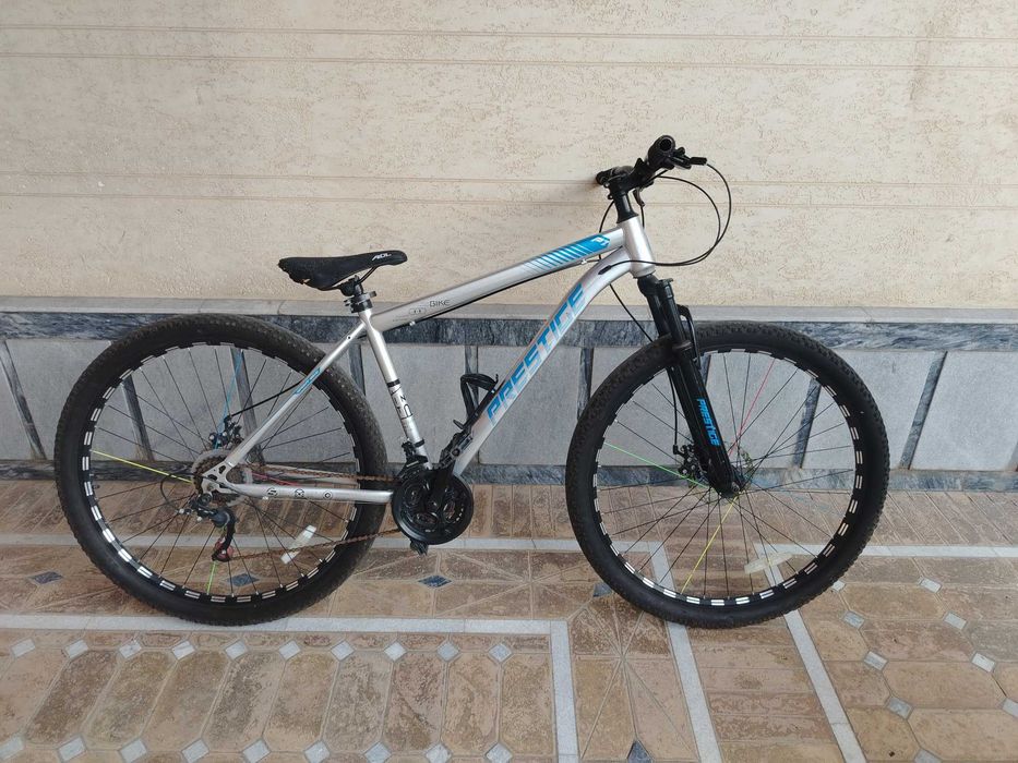Viliseped zor 29