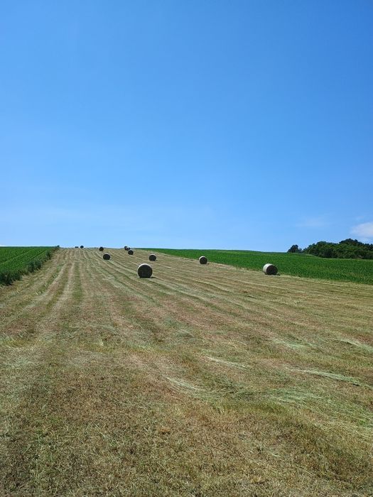 Baloți dreptunghiulari rotunzi