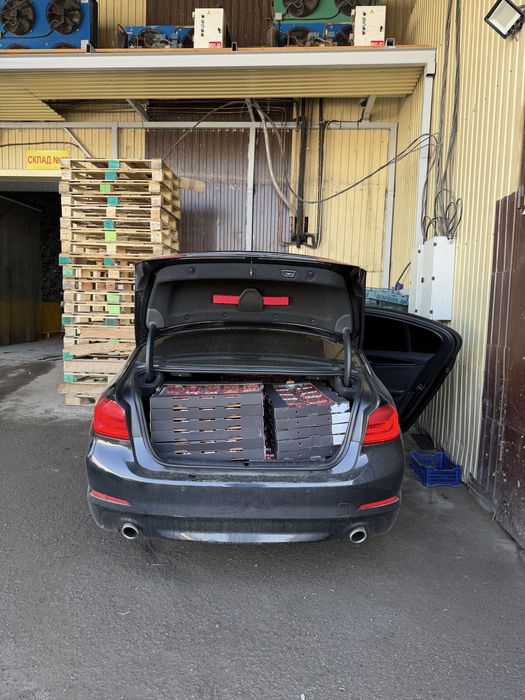 Клубника Египет