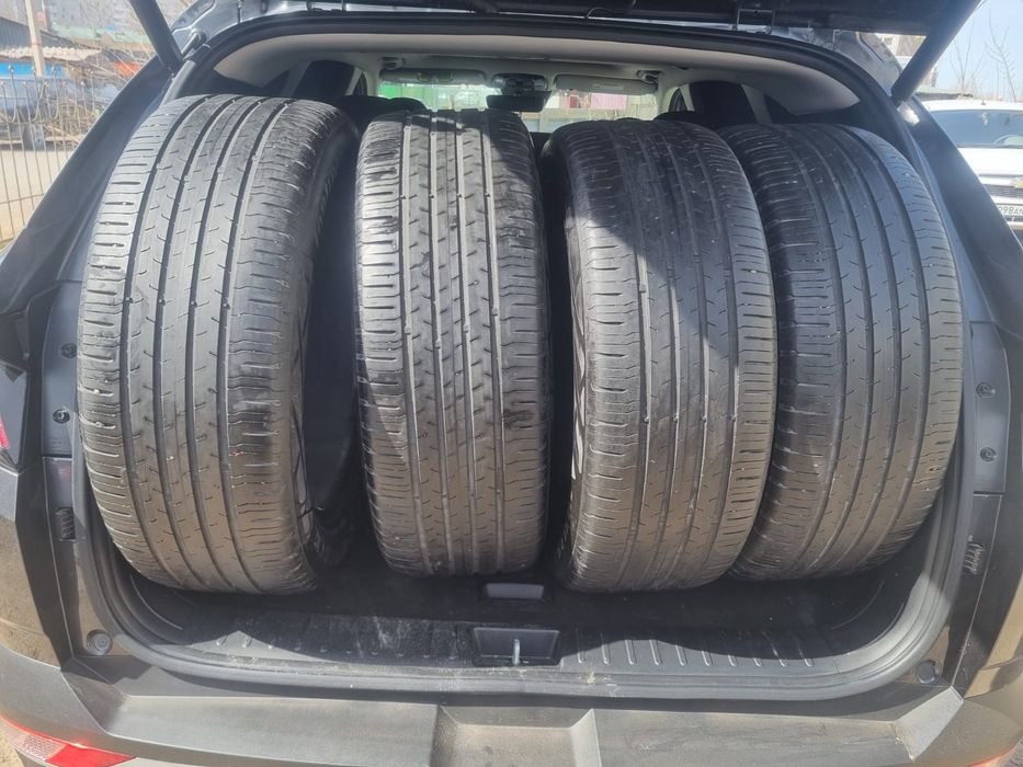 Шина летный  р19