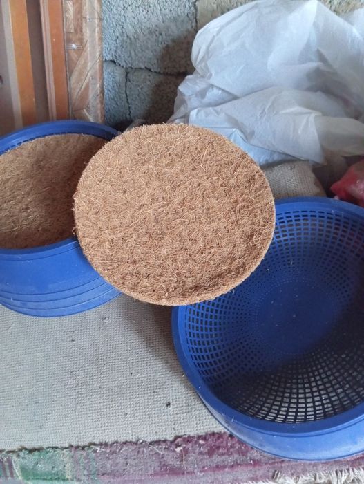 Голуби голуби голуби