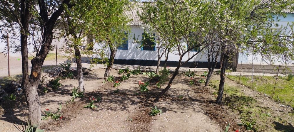 Sirdaryo Shaxar uy sotladi