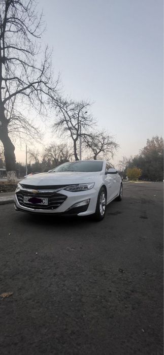 2018 ideal xolata top toza