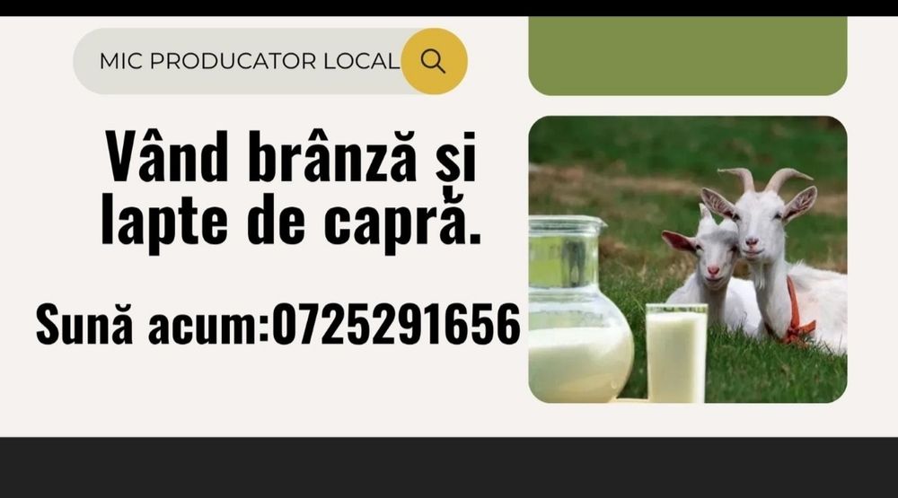 Brânză din lapte de capră