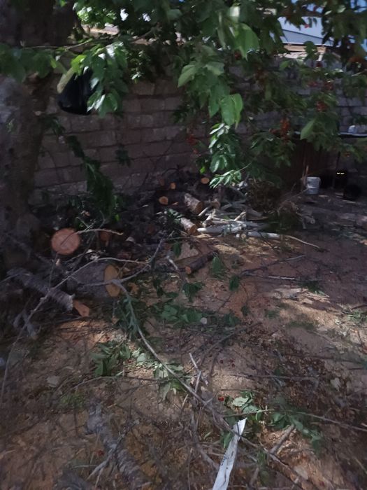 Продается дрова ўтин сотилади срочно