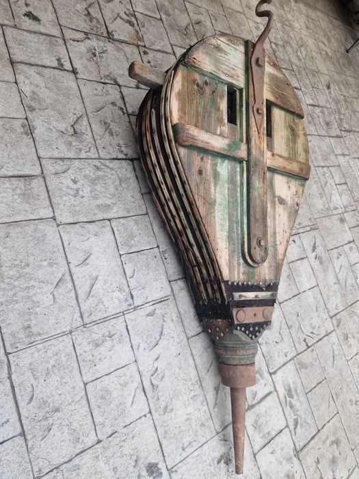 De vanzare foale de foii