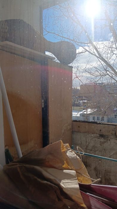 Вывоз строительного мусора