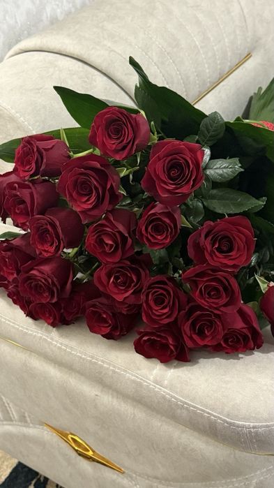 Голландская Роза #цветы