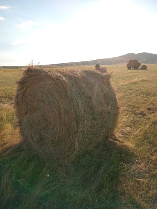 Крестьянское хозяйство