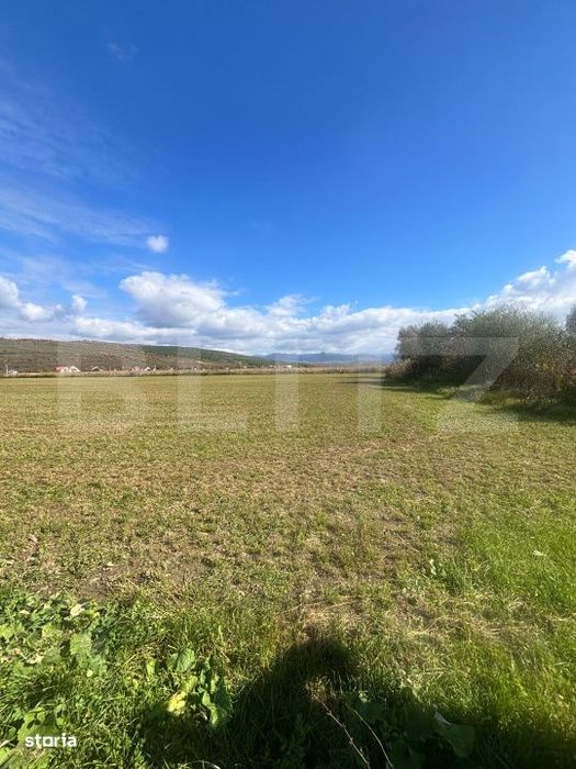 Teren Extravilan in Apropiere de Jelna – 25.800 mp, cu Utilitati