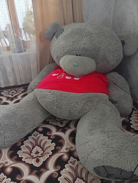 Holati a'lo katta  teddy sotiladi