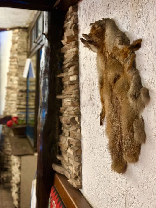 Продава се Заведение в София, Овча купел - 220 кв.м за 25 €/кв.м - Снимка #2