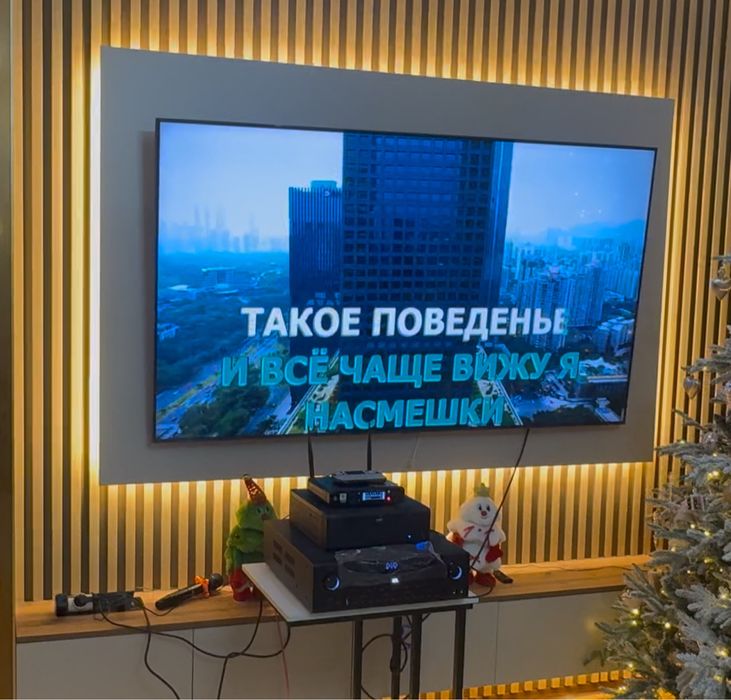 Аренда профессионалный караоке на выезд