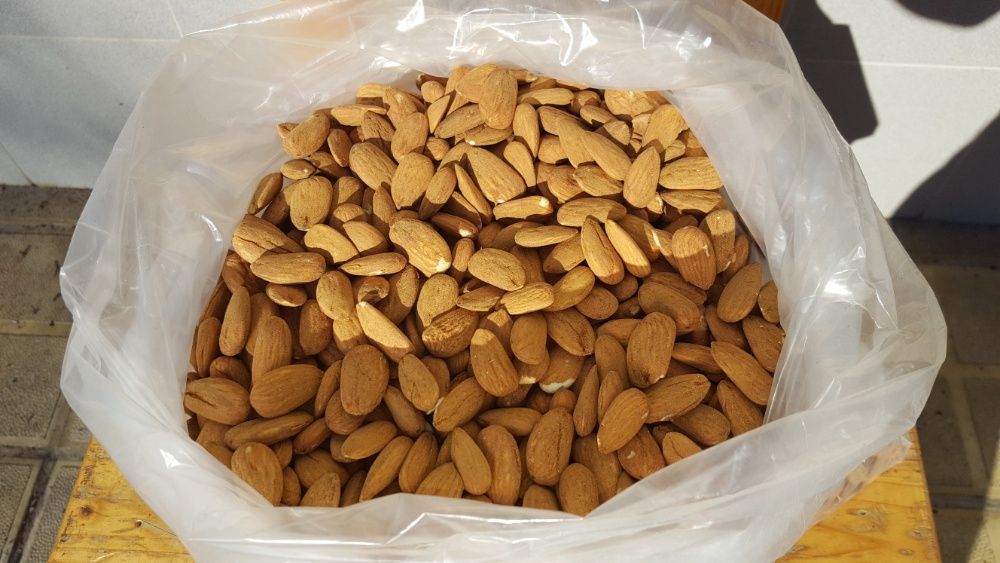 Еко- качествена и вкусна ядка - Бадем Реколта 2025