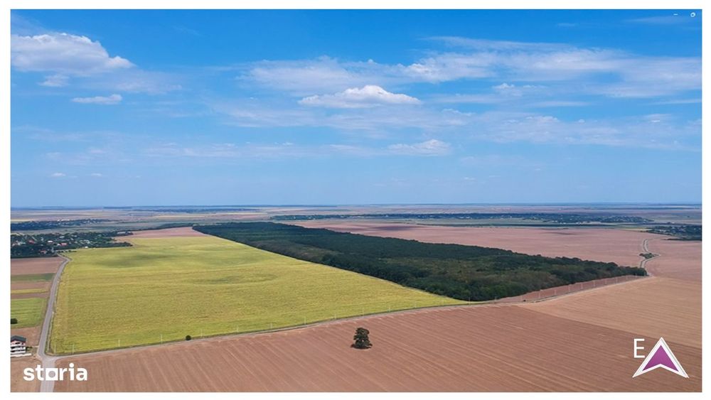 Ocazie dezvoltare - teren 8 parcele - zonă premium natură(Frumusani)