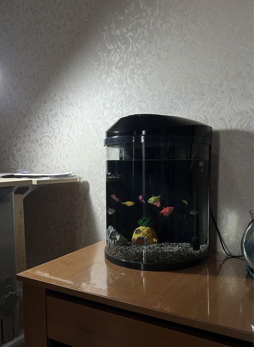 Продается аквариум с рыбками
