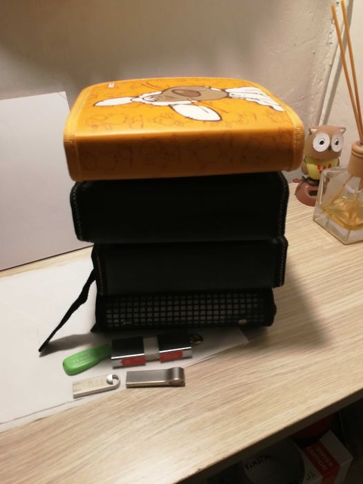 Stick-uri usb cu muzică mape cd cu muzică