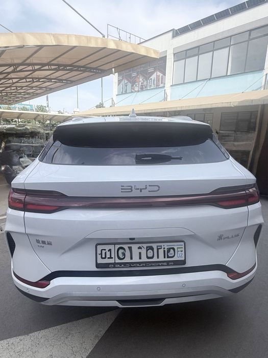 Byd chempion  SMART 2025