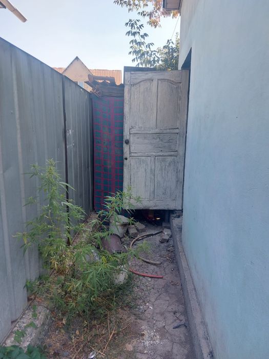 Здам отдельный двор без хозяина