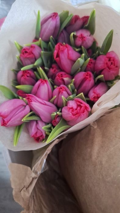 Продам тюльпаны Темиртау