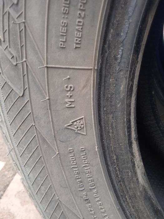 Шины зимние Cordiant