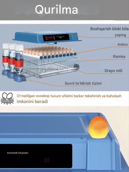 Inkubator avtomat 9/12/24/36/64/100/128/200, 12V va 220V dan ishlaydi