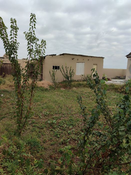 Dala hovli sotiladi dacha vasxodda boylashgan