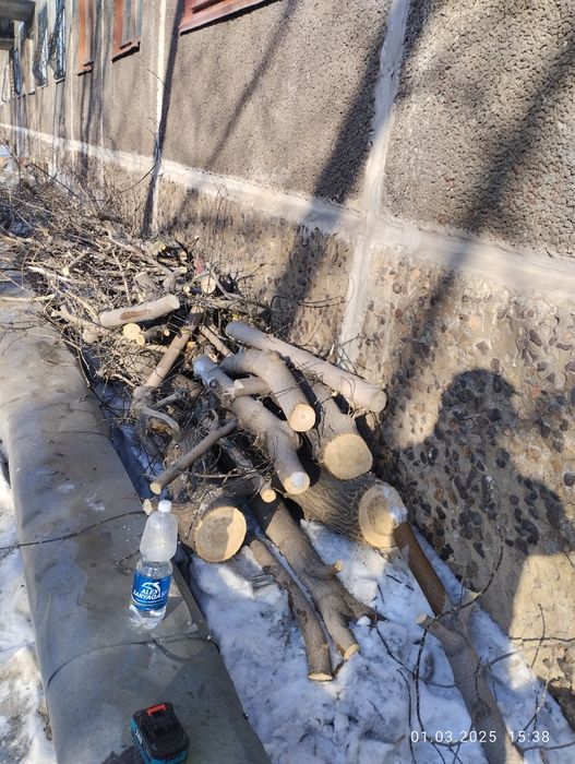 Дрова бесплатно самовывоз