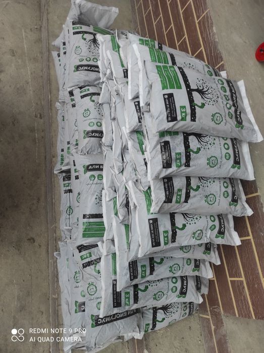 Kalforniya qzil yomg'r CHUVALCHANGLARI va biagumslarmz sotladi