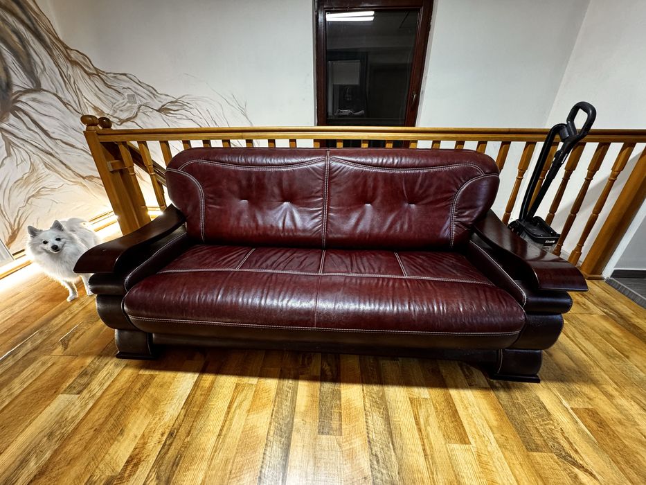 Canapea din piele naturala,eleganta,comoda