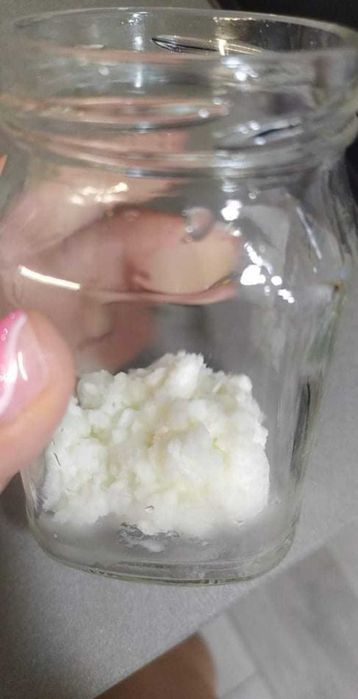 Ciuperca Kefir (chefir) de lapte - Porție  mare