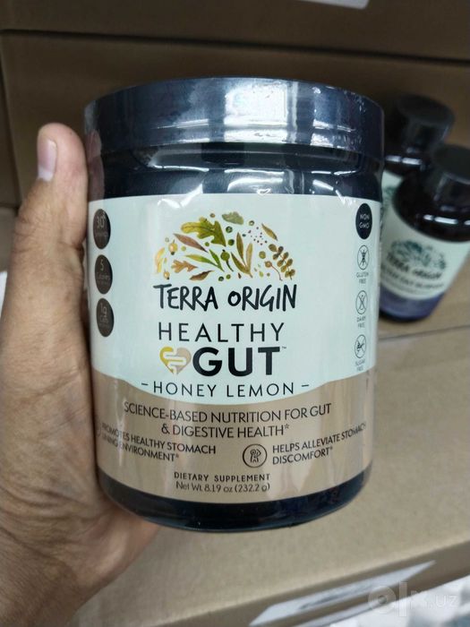 Terra Origin Healthy Gut - Для желудка и кишечника  США