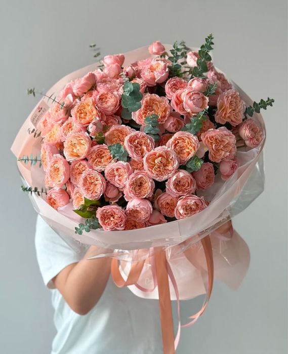 Большой выбор Голландия