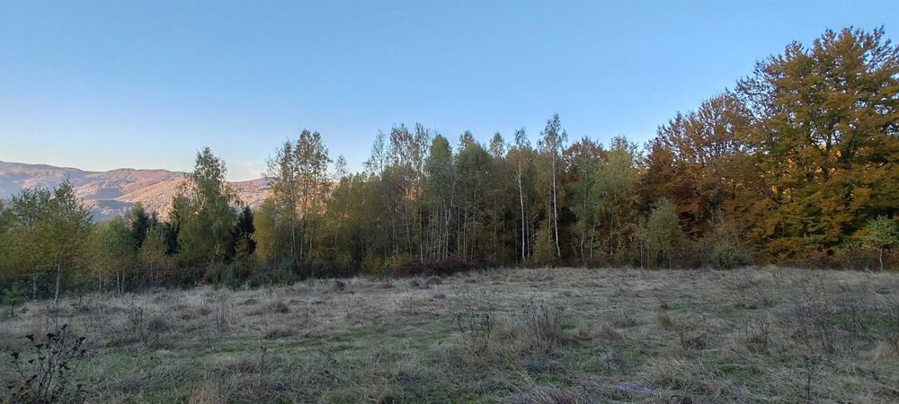 Teren de vânzare pe deal (Ideal Off-Grid, Remote, Retras)