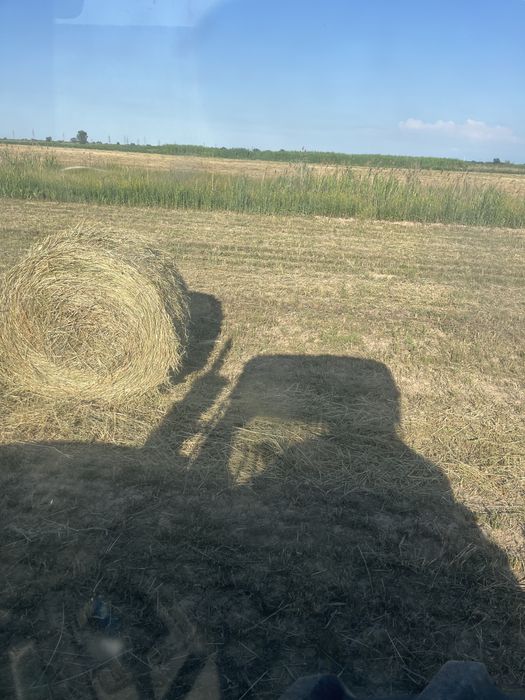 Сено Люцерна жонышка