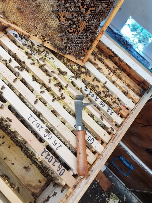 Vând cutii de stupi orizontali pe 18 rame