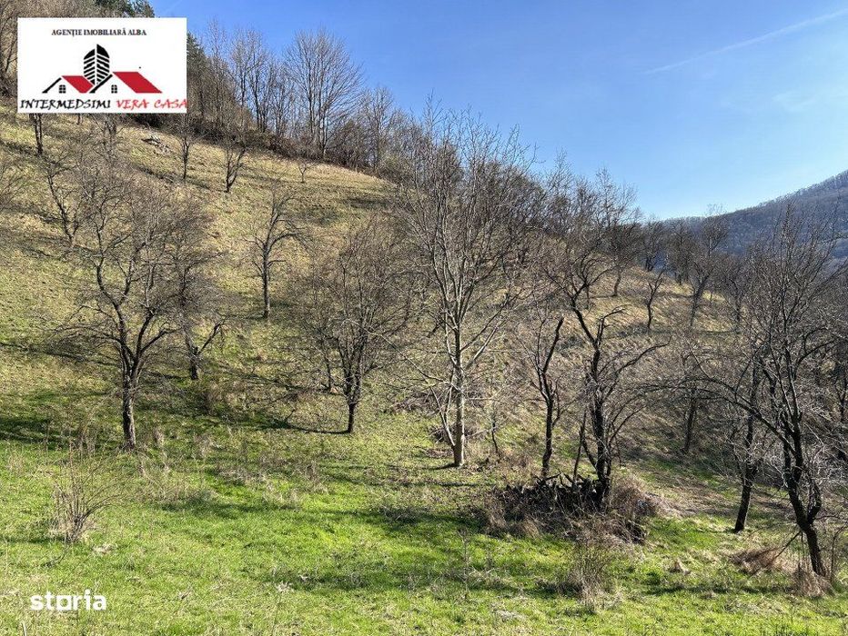 Teren intravilan - extravilan 9,3 Ha de vanzare Matacina Jud Alba