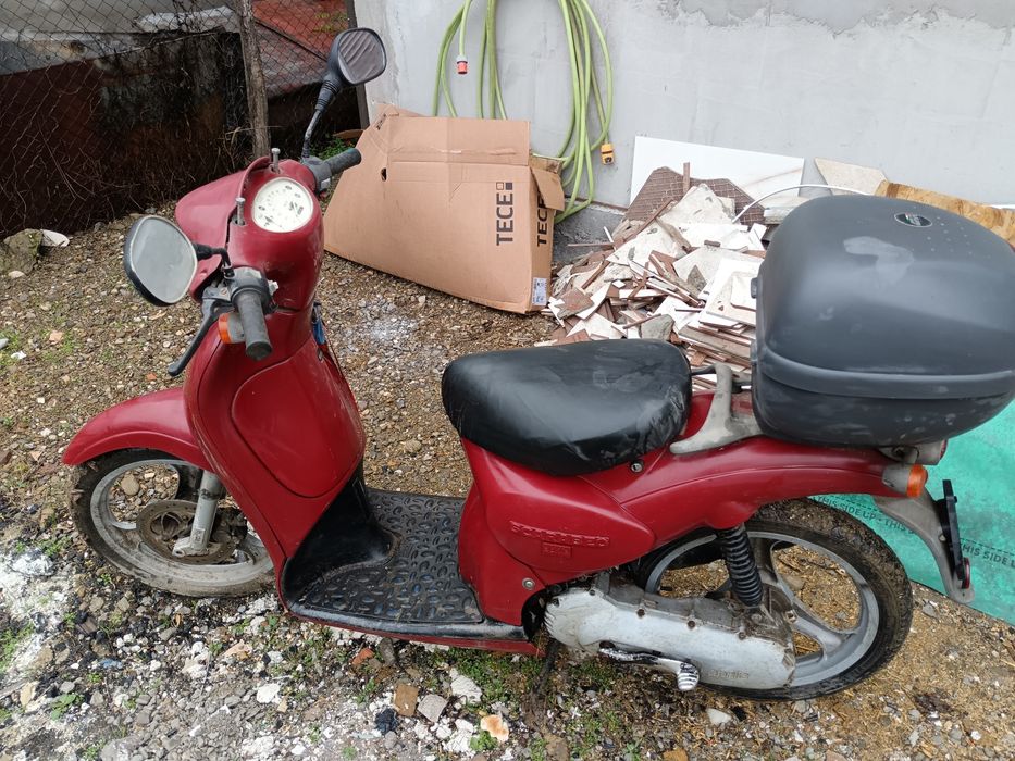 Scarabeo origine italia