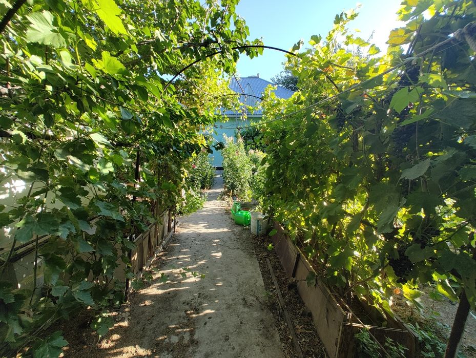 Продам Дачу "Сабалак"