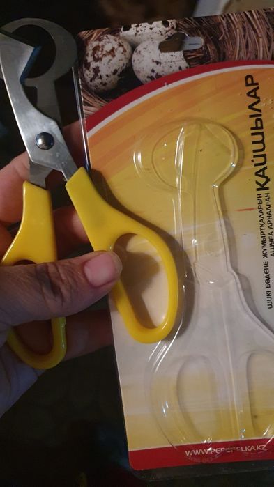 Ножницы для перепелиных яиц ⁰